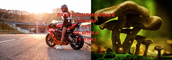 бошки Волосово